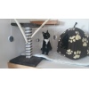 Parkfield Cattery